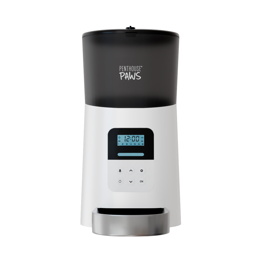 Automatic Feeders & Fountains featuring a sleek pet tech automatic feeder for convenient feeding