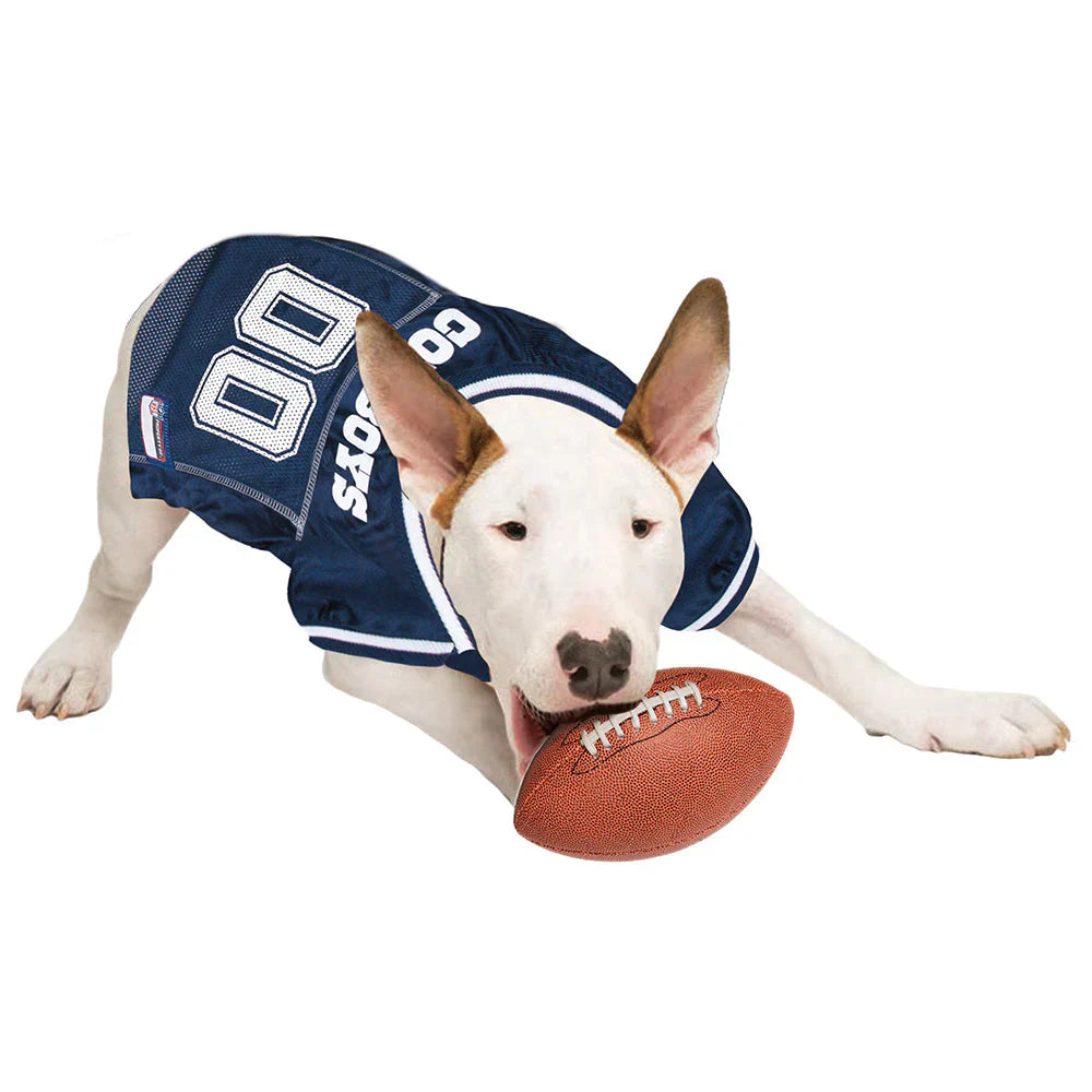 Active pet wearing sports apparel and gear from HT Animal Supply