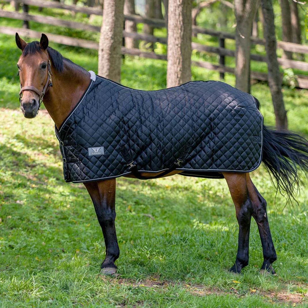 Premium saddle pads horse blankets and riding accessories for dressage hunter jumper and eventing riders at HT Animal Supply