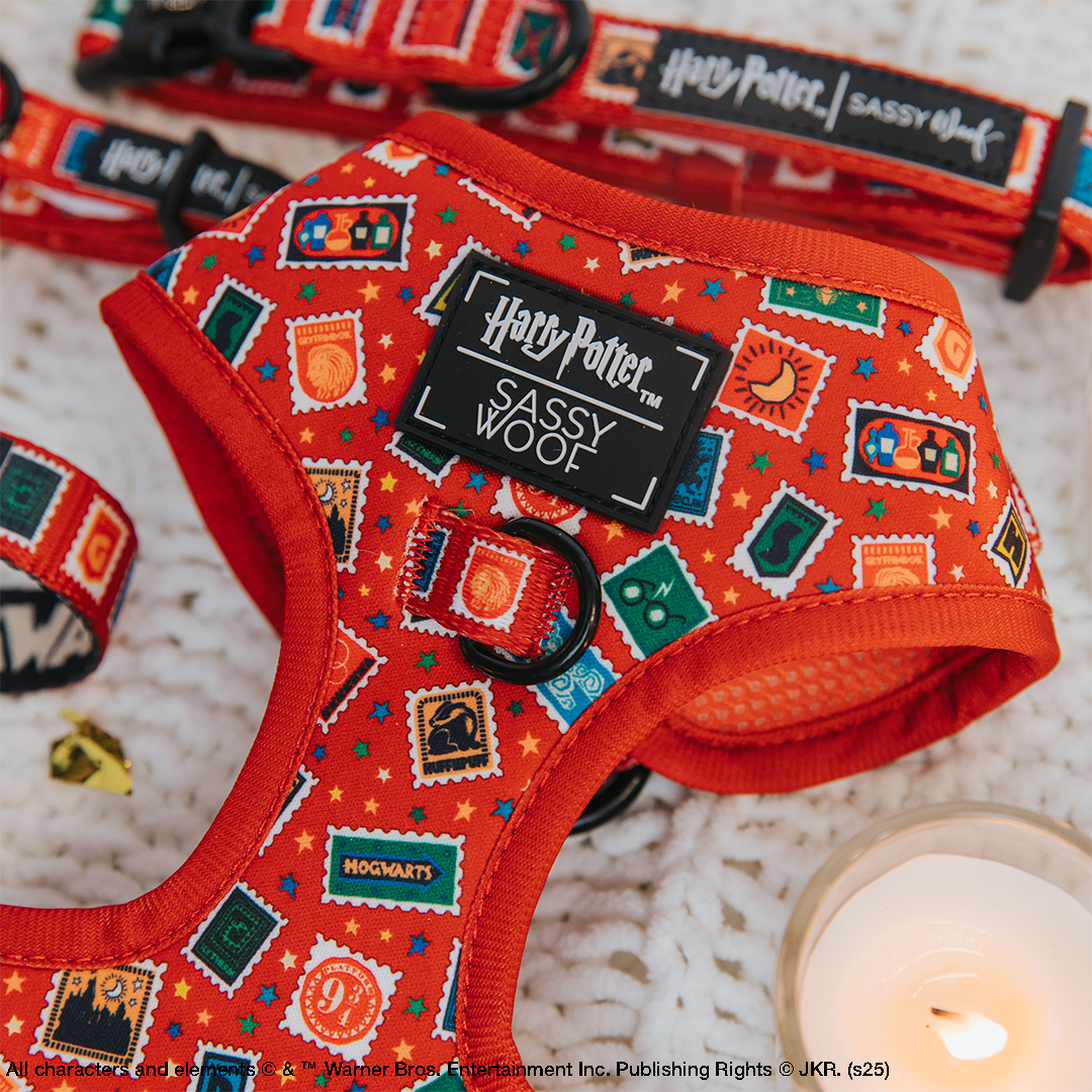Harry Potter Patchwork Dog Harness by Sassy Wolf featuring colorful Hogwarts-inspired stamp graphics, adjustable comfort fit, and matching leash and collar accessories.