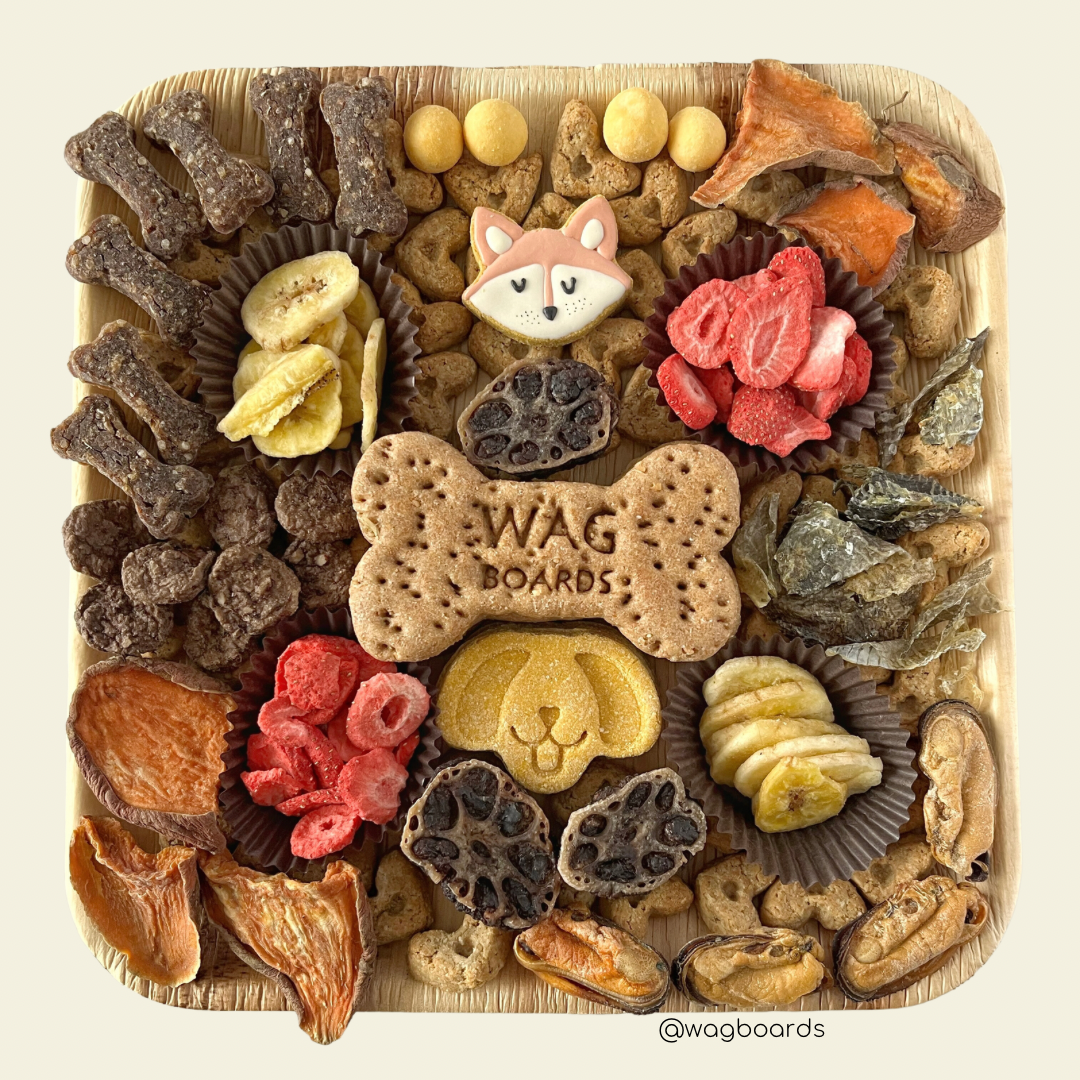 Wagboards | HT Animal Supply 
