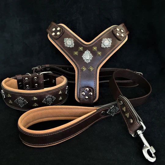 Premium leather dog collars, harnesses, and leashes from HT Animal Supply