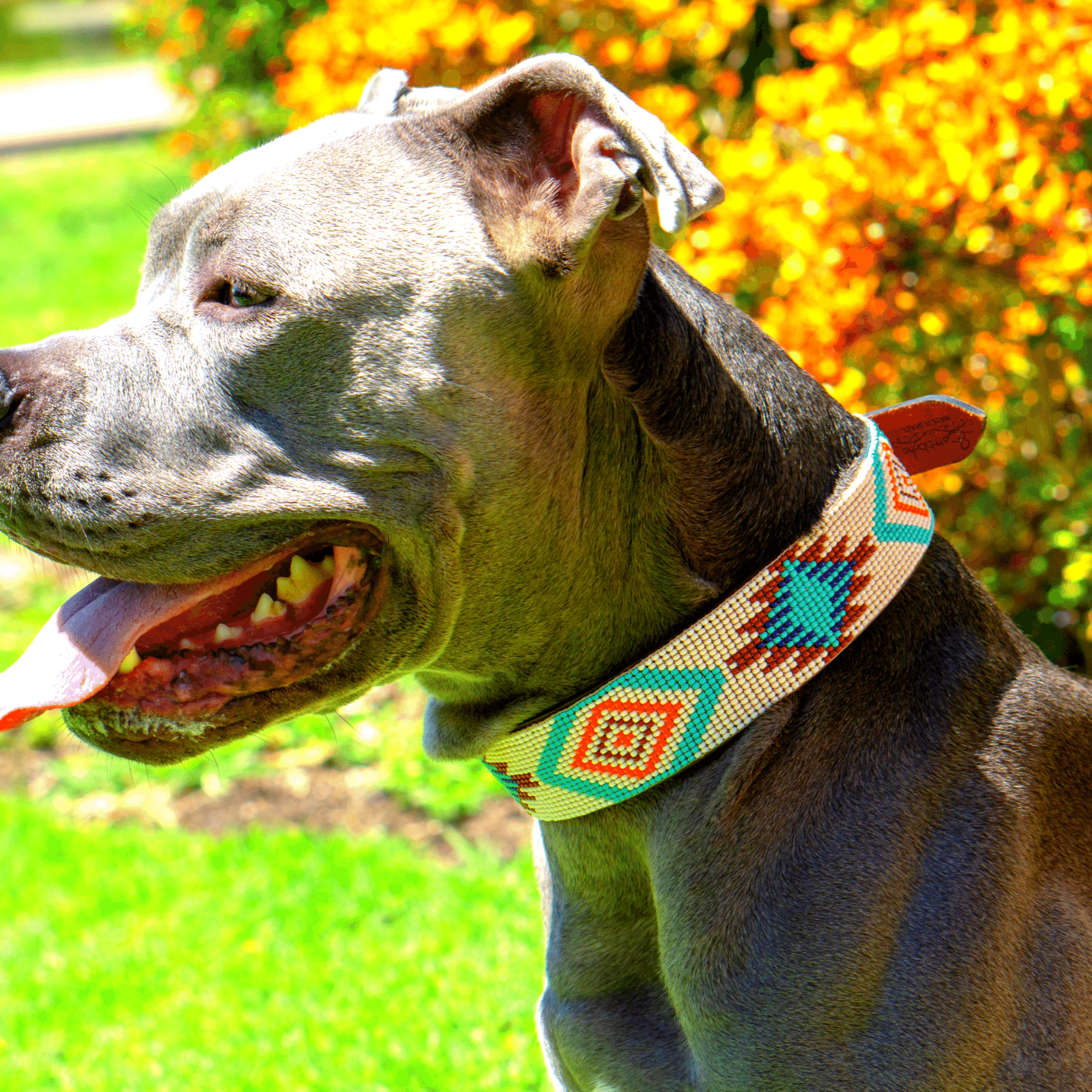Sambboho Dog Collars collection featuring handcrafted colorful boho-style dog collars with unique artistic designs