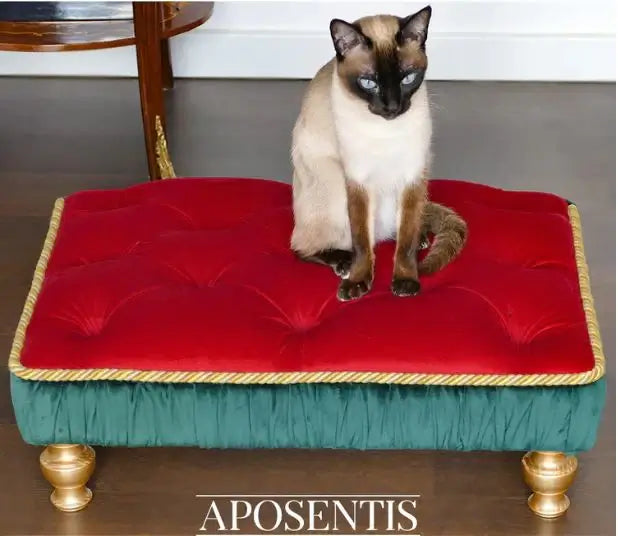 Siamese cat sitting on a luxurious Aposentis red and green handmade cat bed, showcasing eco-friendly luxury pet accessories.