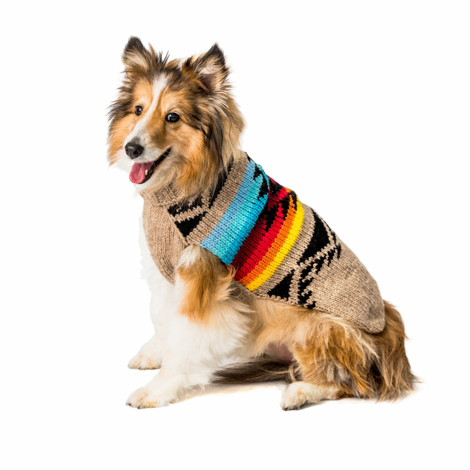 Chilly Dog collection featuring handmade wool dog sweaters and cozy cold-weather dog apparel
