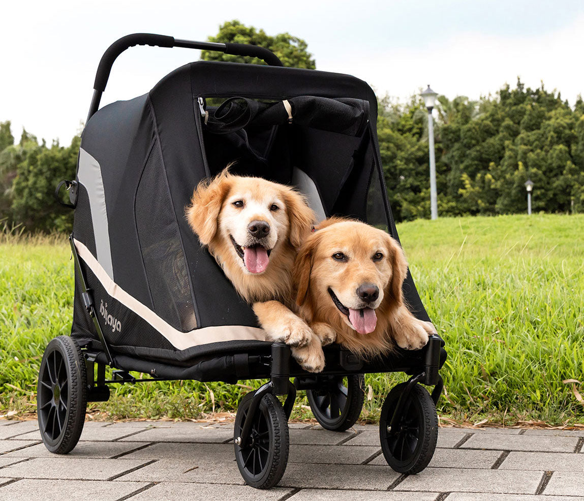Two dogs riding in a stylish black pet stroller from HT Animal Supply