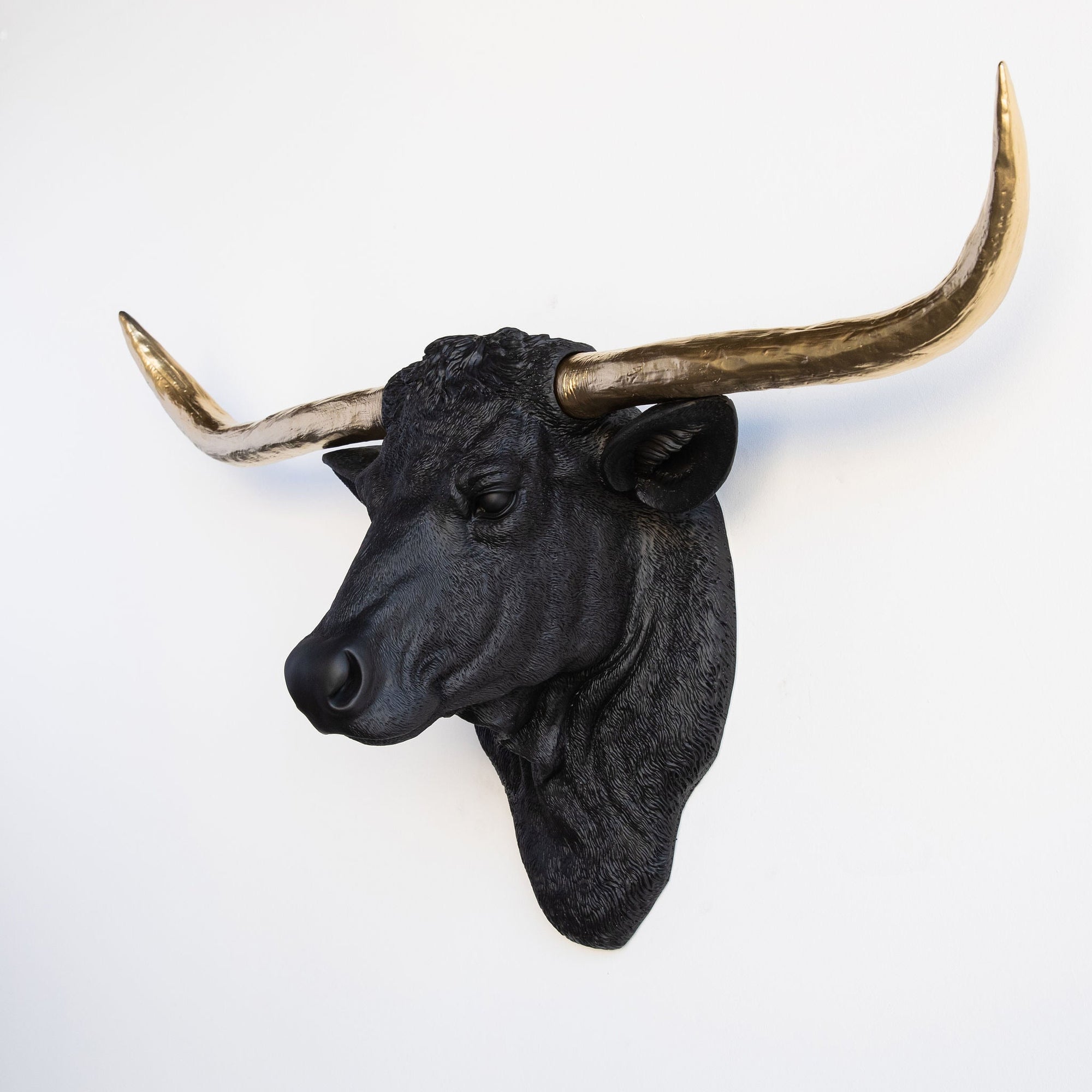 Near and Deer animal home decor featuring rustic wall art and decorative home accents for pet lovers at HT Animal Supply.
