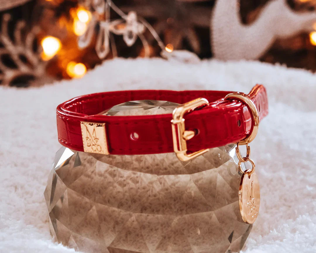 Standard Collars | HT Animal Supply
