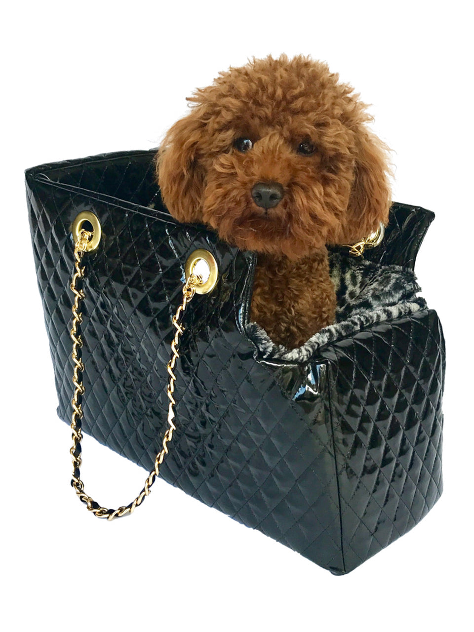 The Dog Squad | HT Animal Supply 