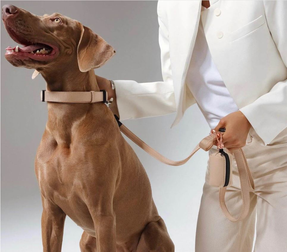 Stylish and durable dog leashes from HT Animal Supply for walking and adventure