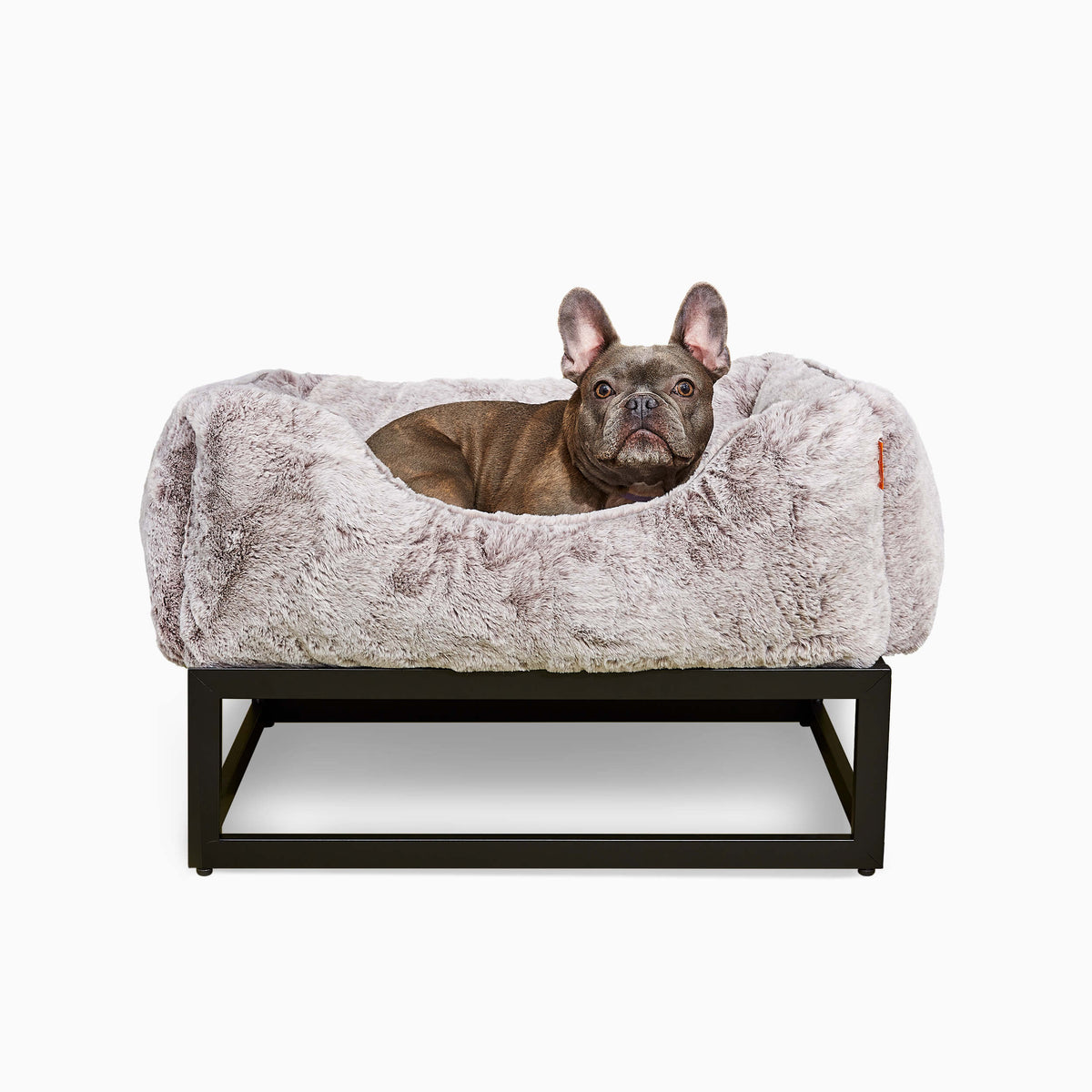 The FUZI Elevated Dog Bed