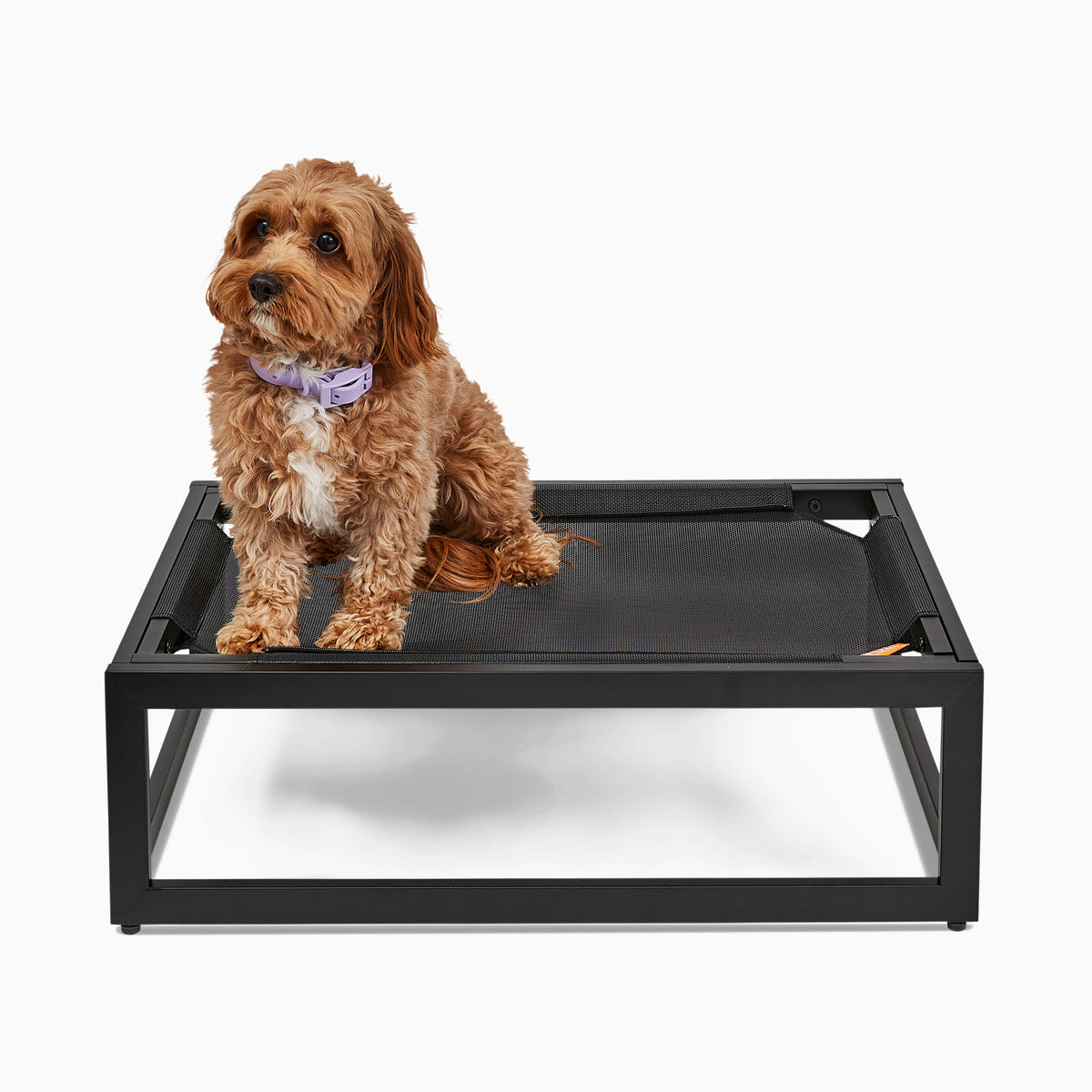 The Up Pup Cot