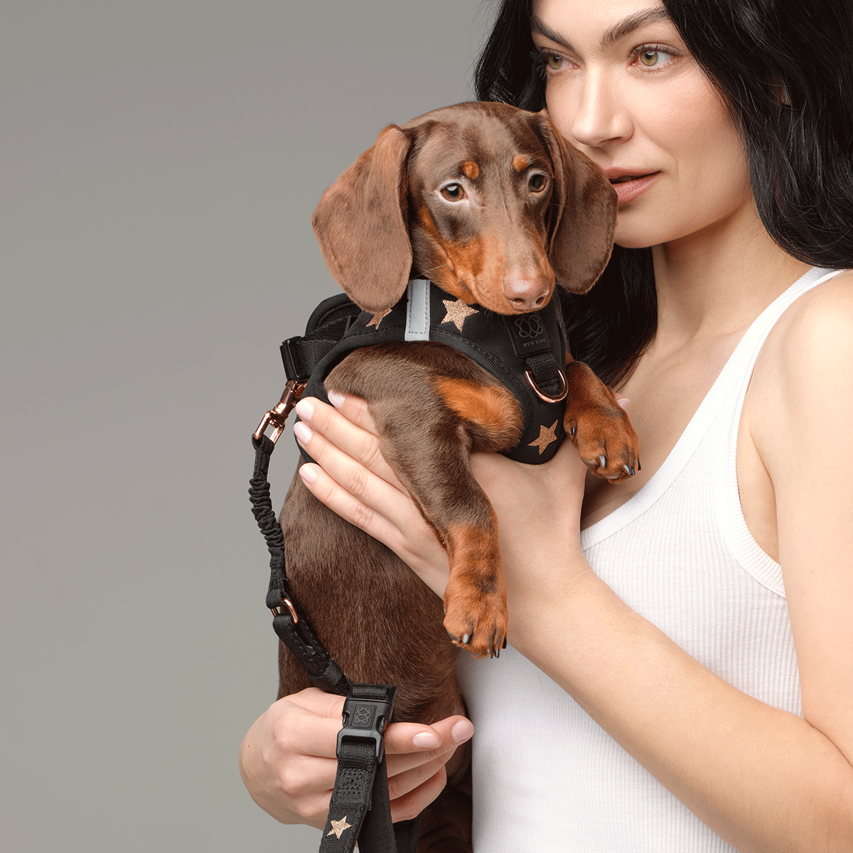 DOGISTRY SoHo Dog Harness - Rockstar