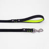 Scale & Fluo-Leash