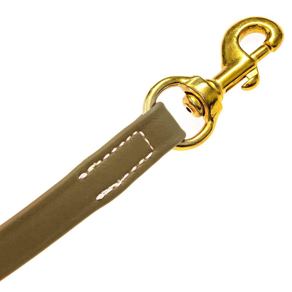 Viper BioThane Long Line 15 ft Dog Lead with Brass Hardware