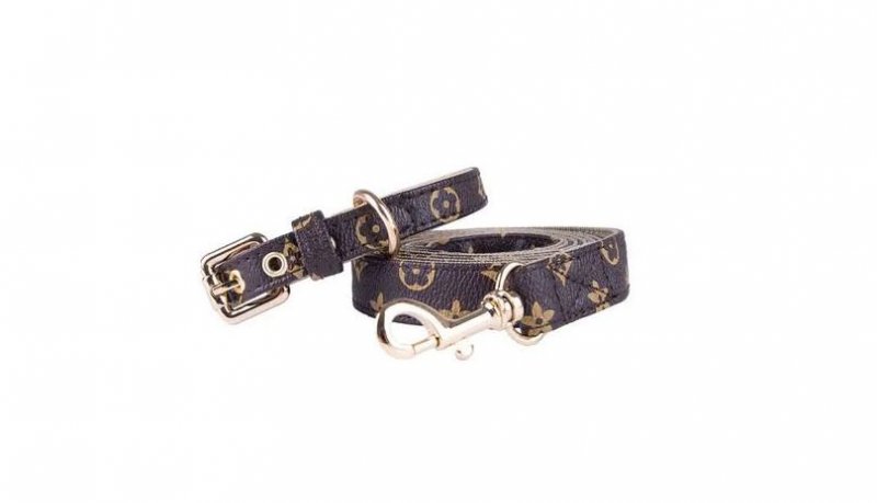NCAA Brown Bears Chewy V Pawtton Collar for Dogs and Cats by K9 Cafe