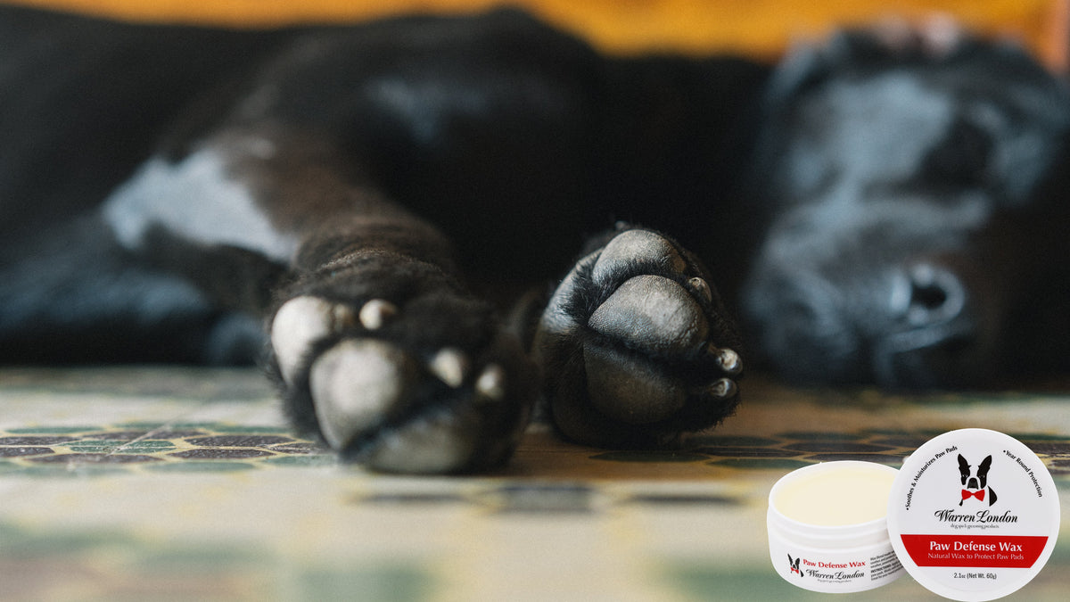 Paw Defense Wax - Soothes, Moisturizes and Protects Dogs Paw Pads - HT Animal Supply