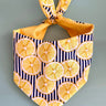 Lemon Dog Bandana