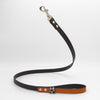 Orange Desert-Leash