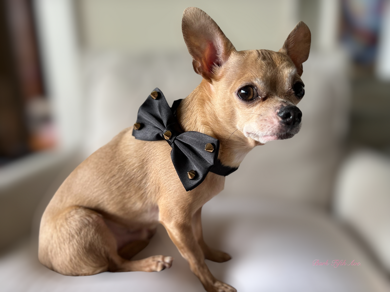 Bark 5th Ave., LLC Dapper Satin Stud & Rhinestone Bowtie pet supplies