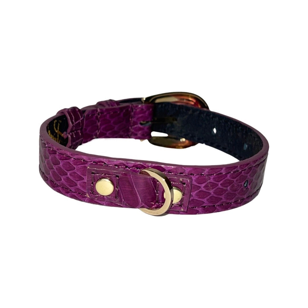 Allysa Payne XS/S 7"-14" Purple Custom Snake Dog Collar/Custom Gold Oval Italian Hardware