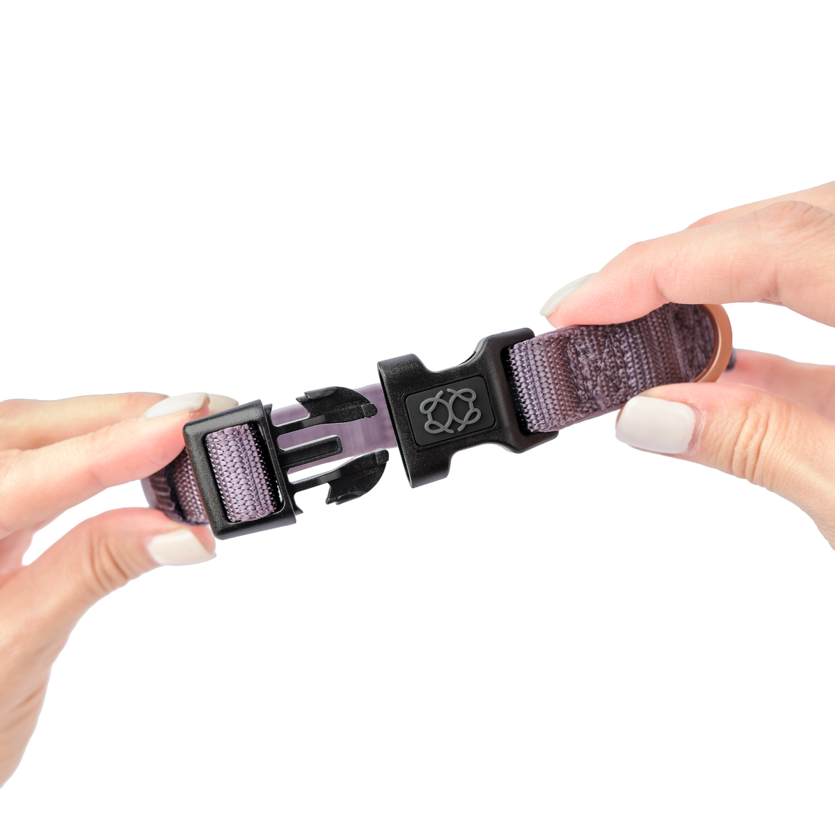 DOGISTRY City Dog Collar - Lilac Gray