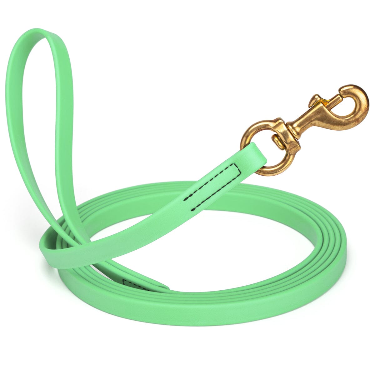Viper BioThane Long Line 10 ft Dog Lead with Brass Hardware