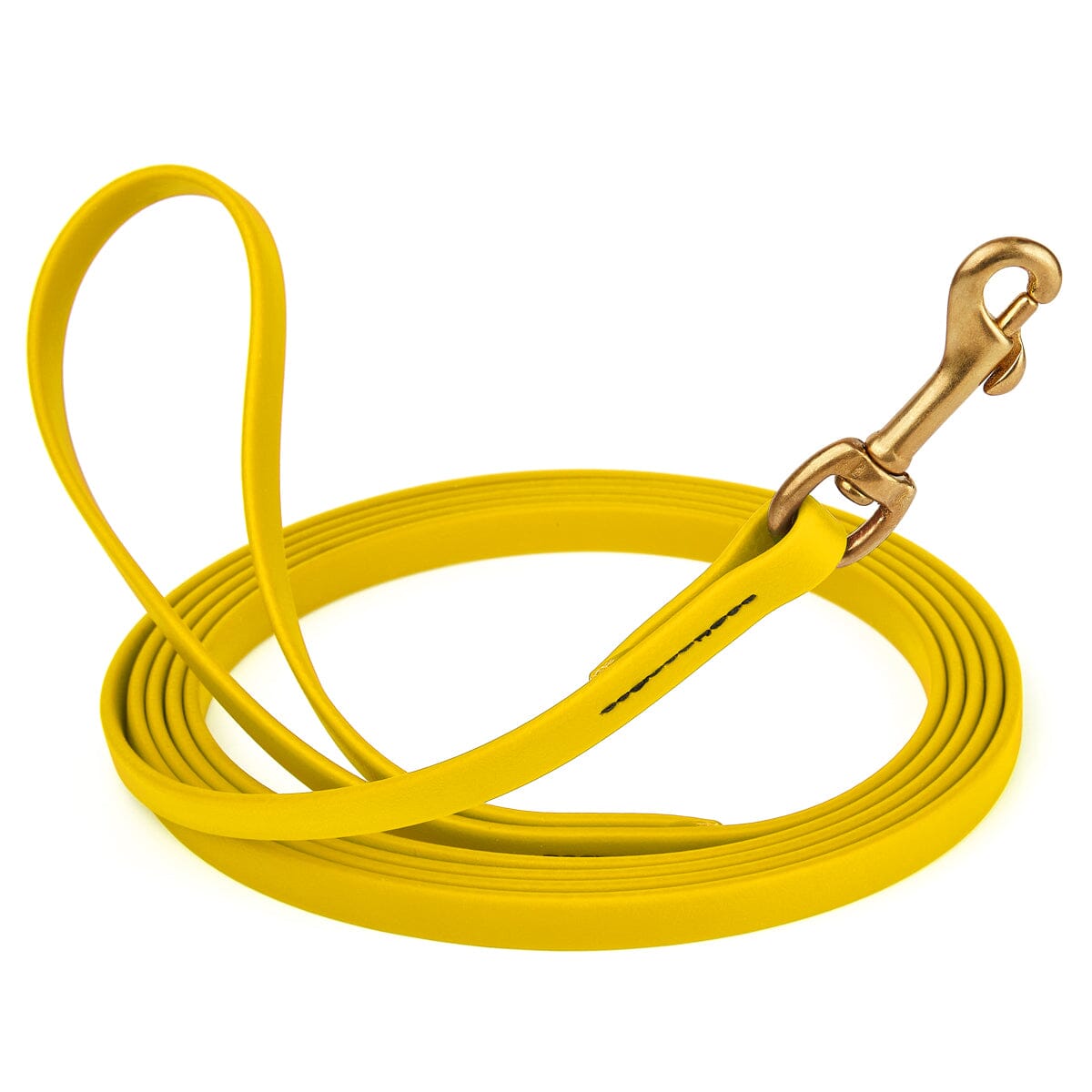 Viper BioThane Long Line 20 ft Dog Lead with Brass Hardware