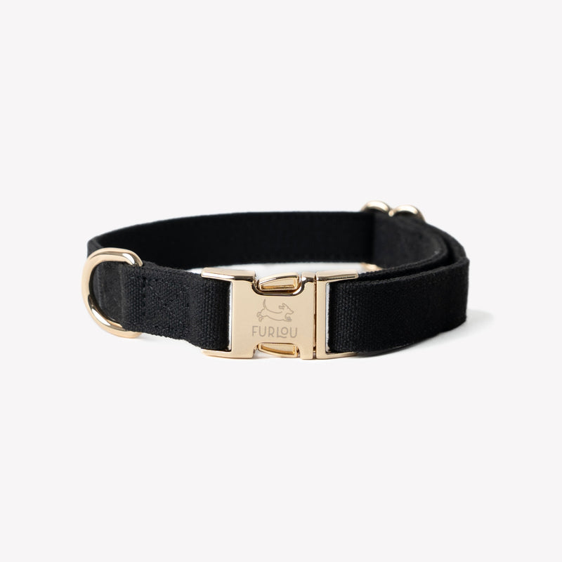 Black - Canvas Dog Collar - A collar that feels as good as it looks. Fast shipping from HT Animal Supply.