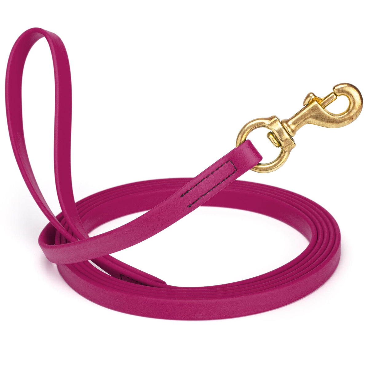Viper BioThane Long Line 20 ft Dog Lead with Brass Hardware