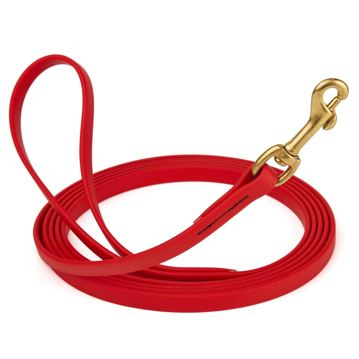 Viper BioThane Long Line 10 ft Dog Lead with Brass Hardware