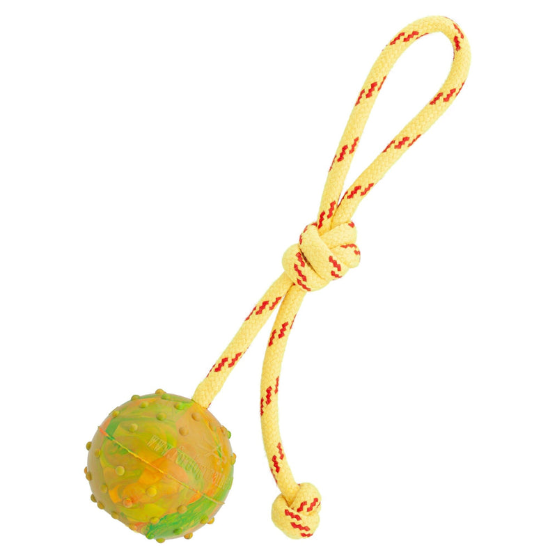 FDT Rubber Dog Ball on Rope, Medium - Diameter 2.3-Inch (6 cm)