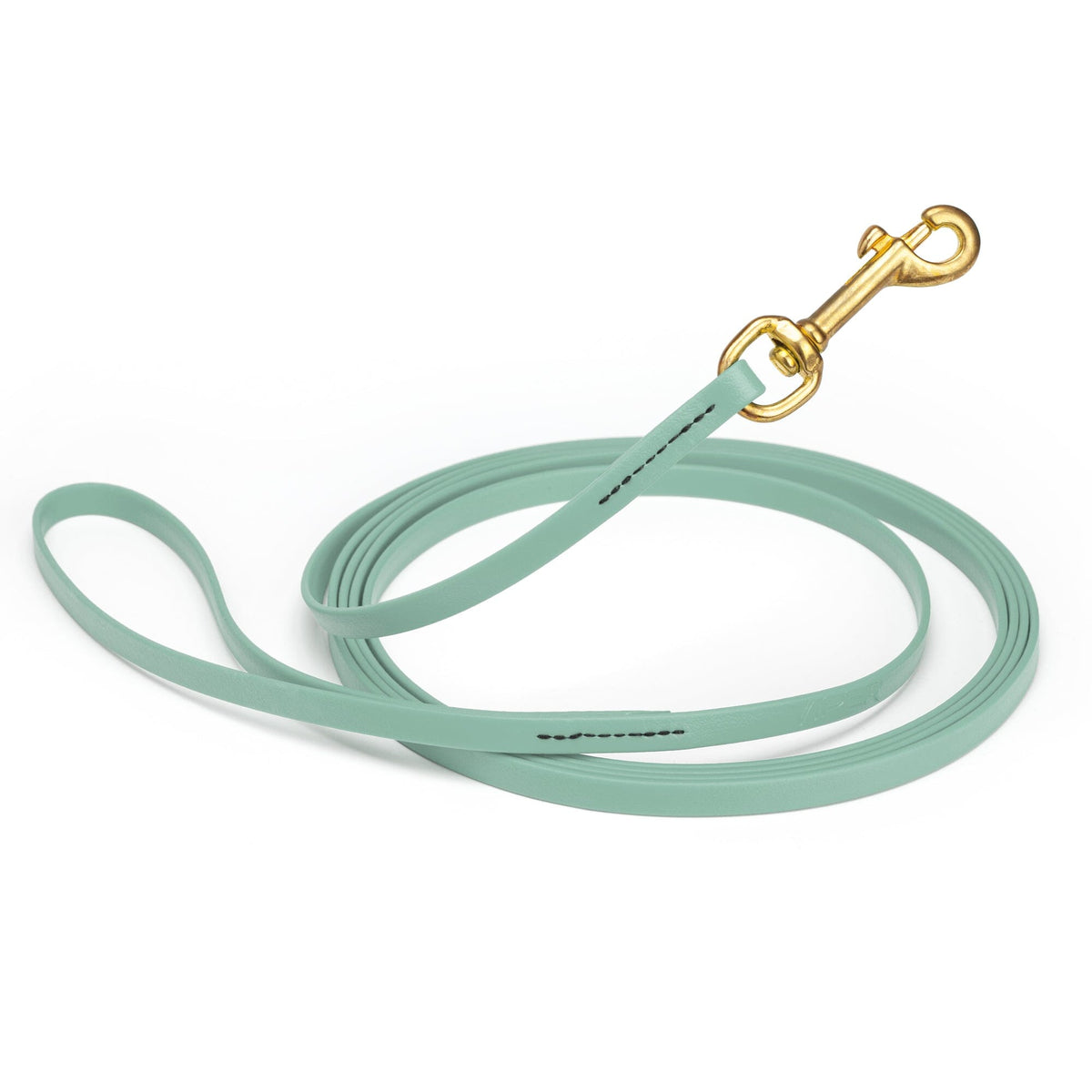 Viper BioThane Long Line 33 ft Dog Lead with Brass Hardware