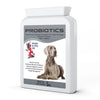 Bestia Dog Sport Probiotics Dog Supplement