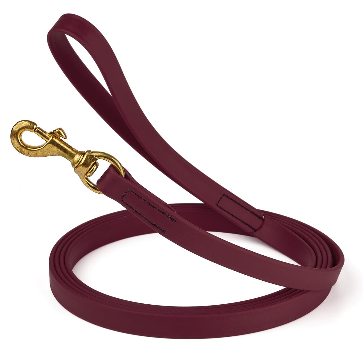 Viper BioThane Long Line 10 ft Dog Lead with Brass Hardware