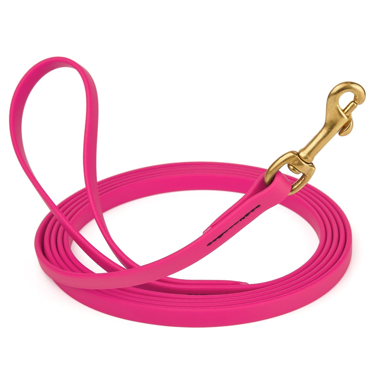 Viper BioThane Long Line 10 ft Dog Lead with Brass Hardware