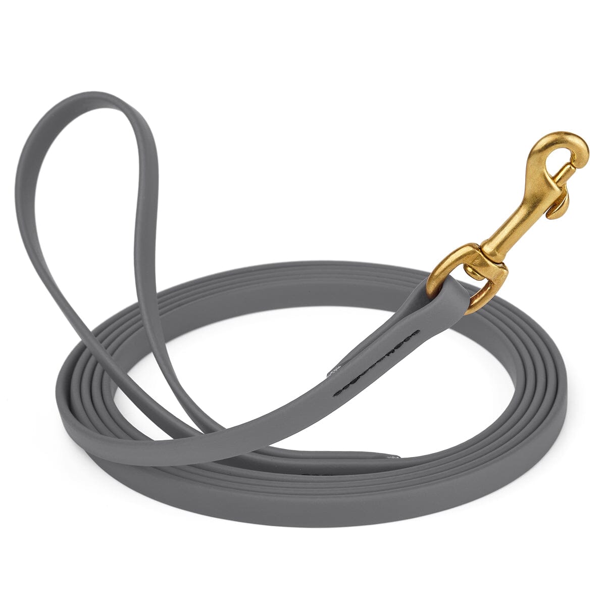 Viper BioThane Long Line 10 ft Dog Lead with Brass Hardware