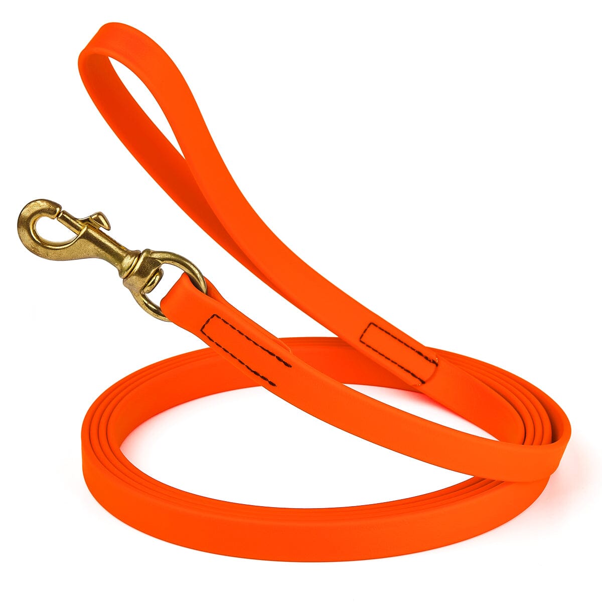 Viper BioThane Long Line 10 ft Dog Lead with Brass Hardware