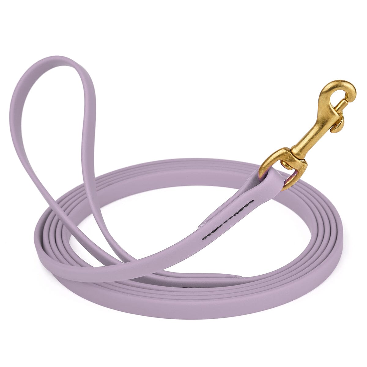 Viper BioThane Long Line 10 ft Dog Lead with Brass Hardware