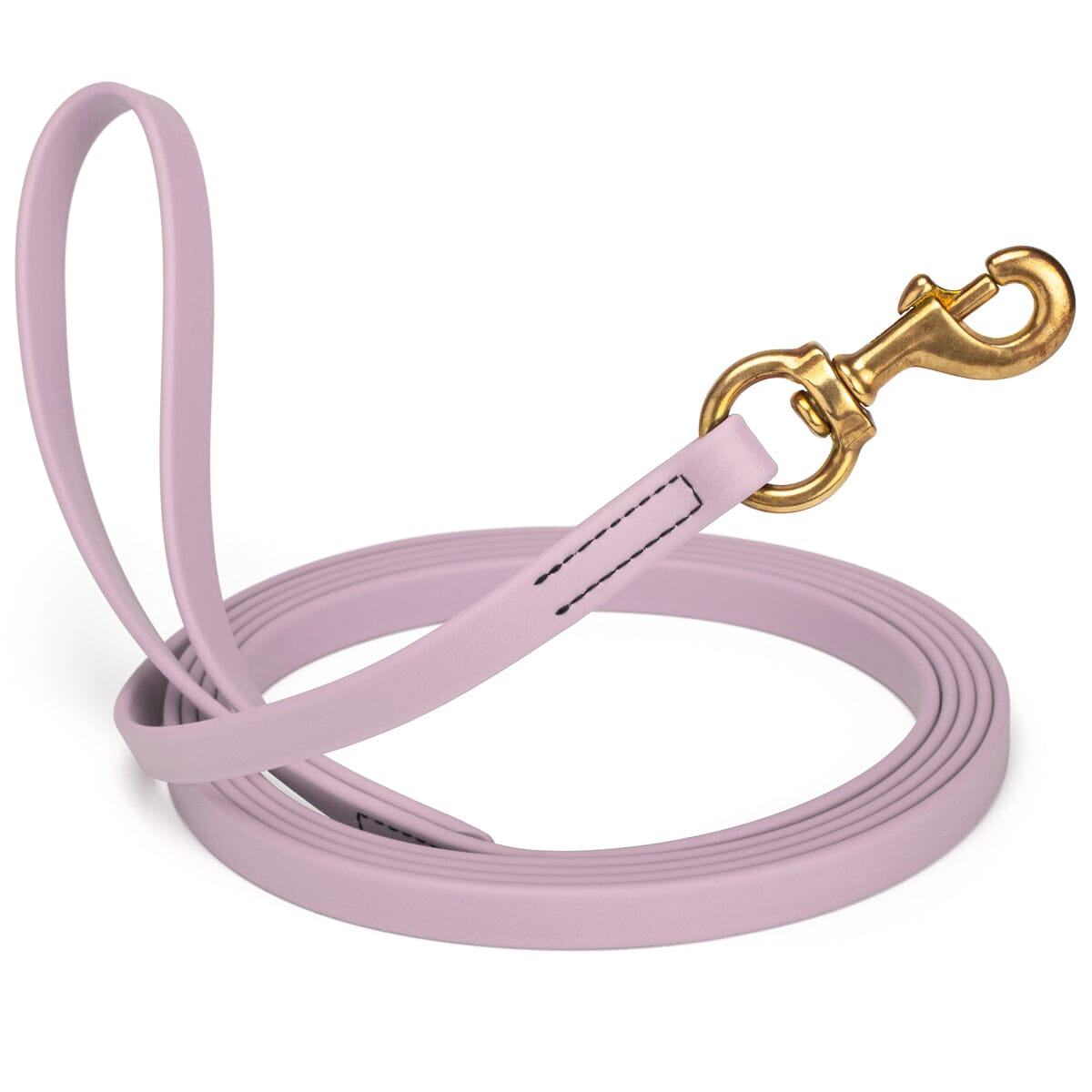 Viper BioThane Long Line 10 ft Dog Lead with Brass Hardware