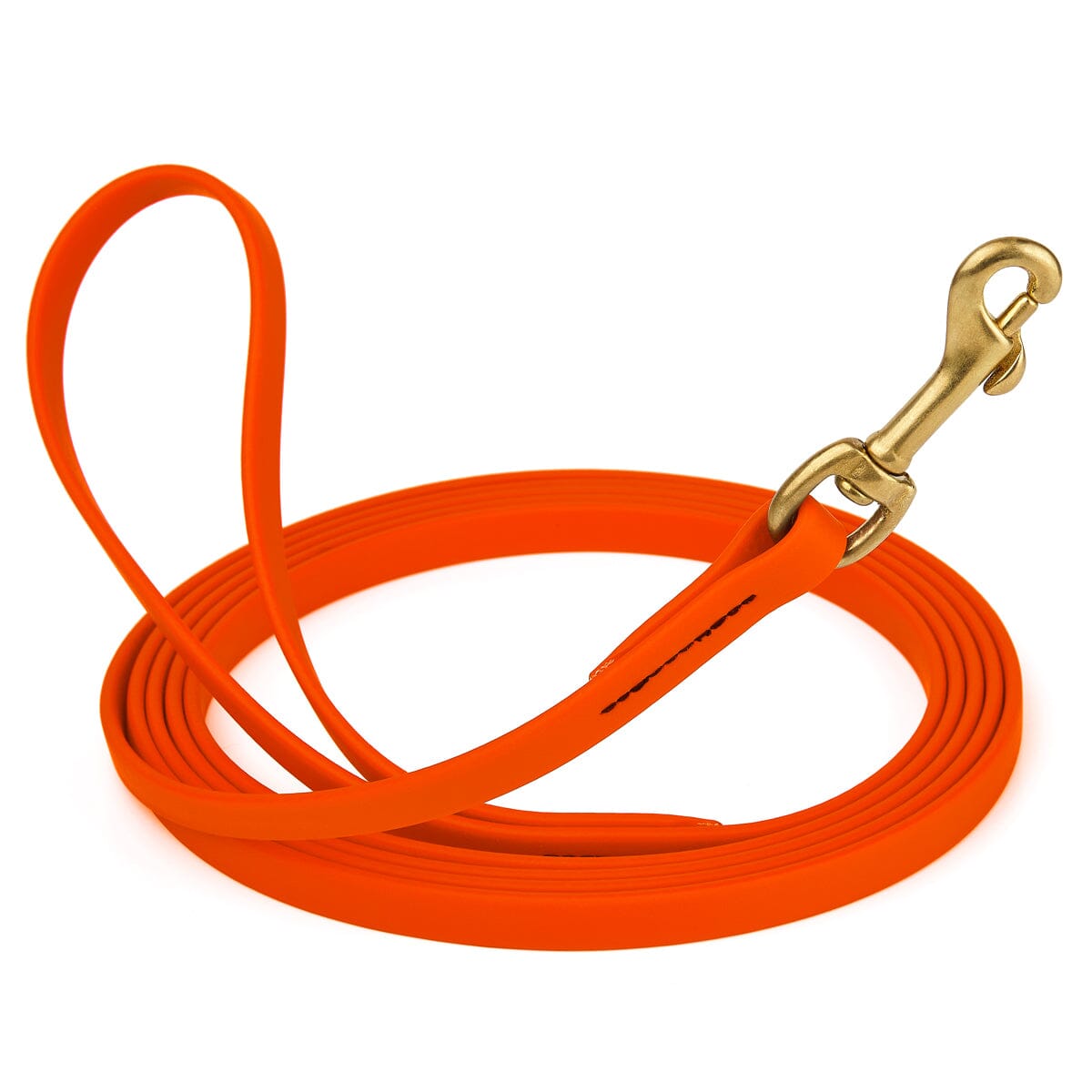 Viper BioThane Long Line 33 ft Dog Lead with Brass Hardware