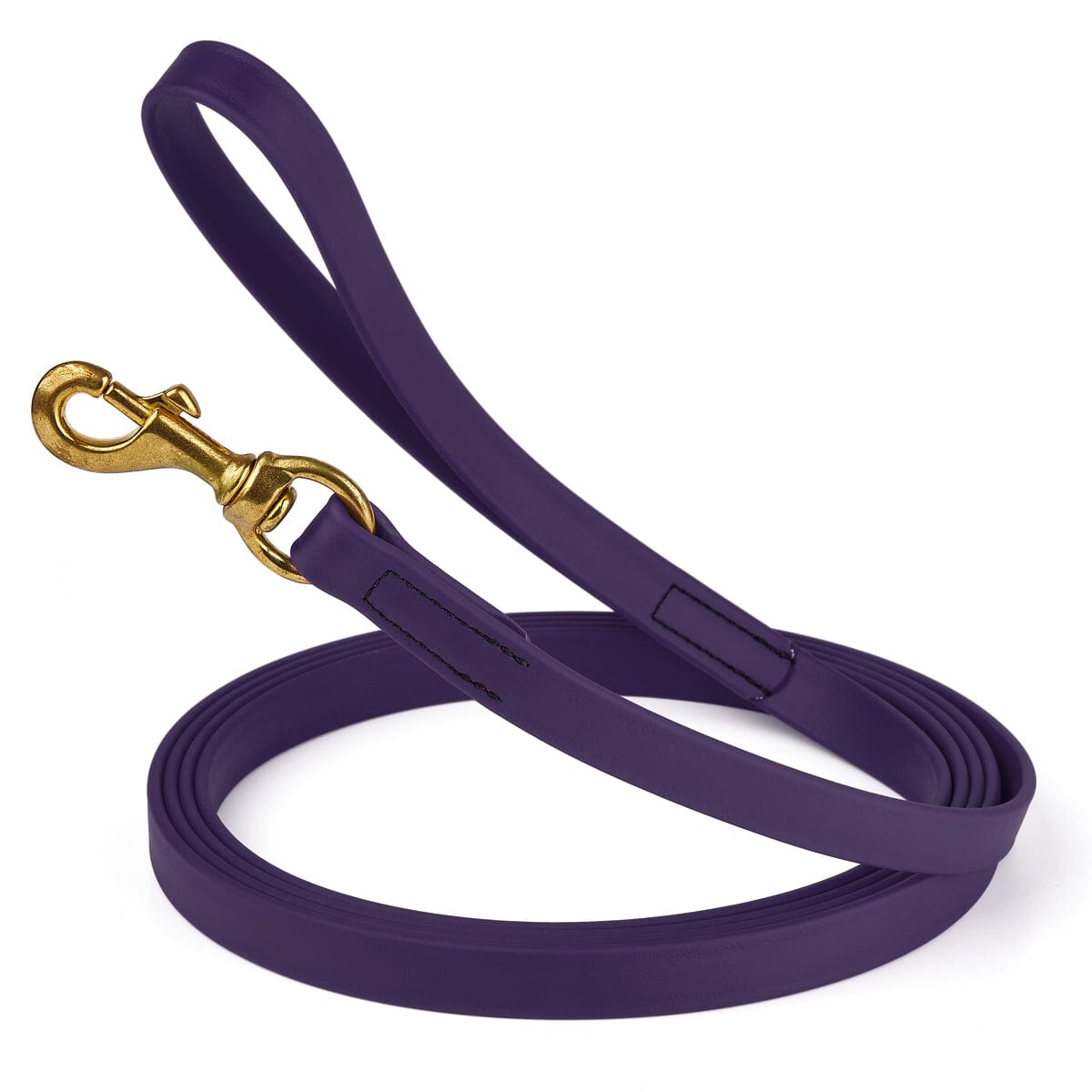 Viper BioThane Long Line 10 ft Dog Lead with Brass Hardware