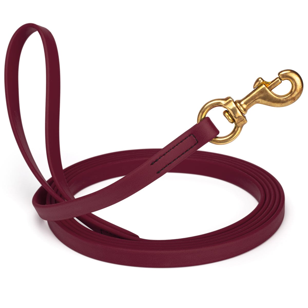 Viper BioThane Long Line 10 ft Dog Lead with Brass Hardware