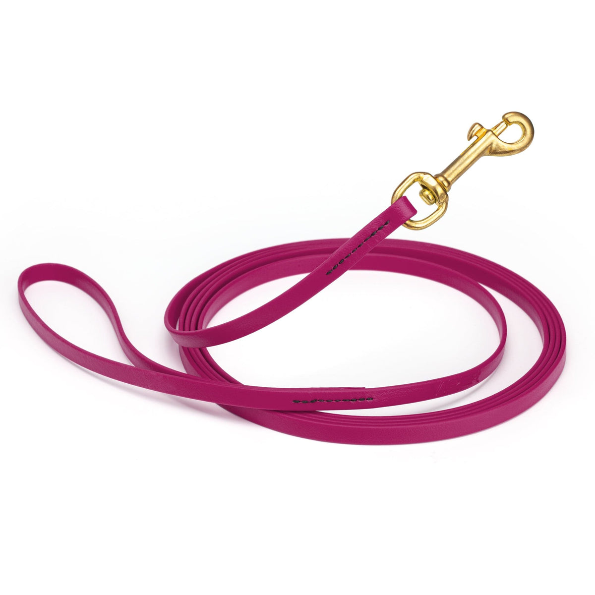 Viper BioThane Long Line 10 ft Dog Lead with Brass Hardware