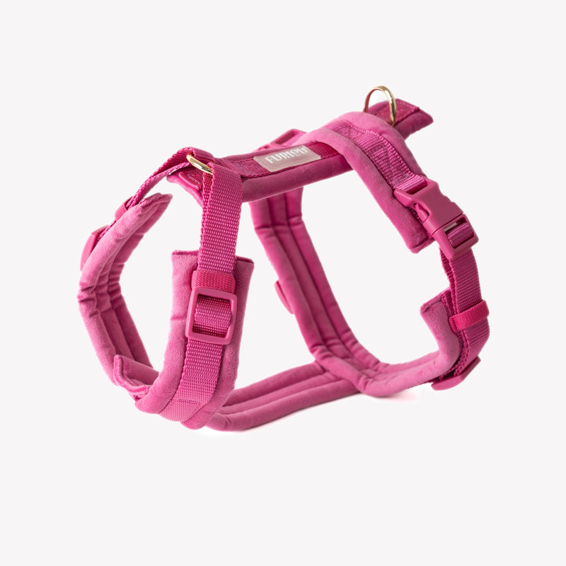 Magenta - Velvet Dog Harness - HT Animal Supply