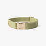 Green - Canvas Dog Collar