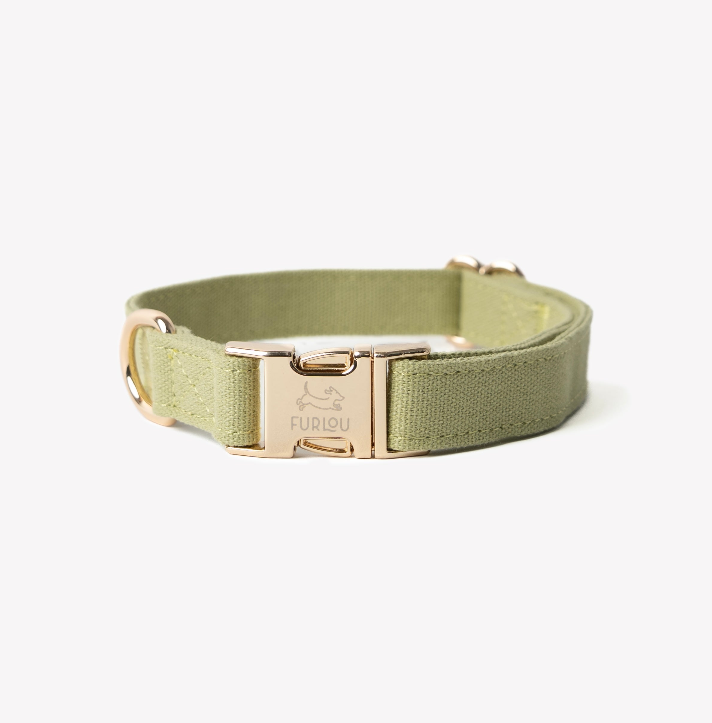 Green - Canvas Dog Collar - A collar that feels as good as it looks. Fast shipping from HT Animal Supply.