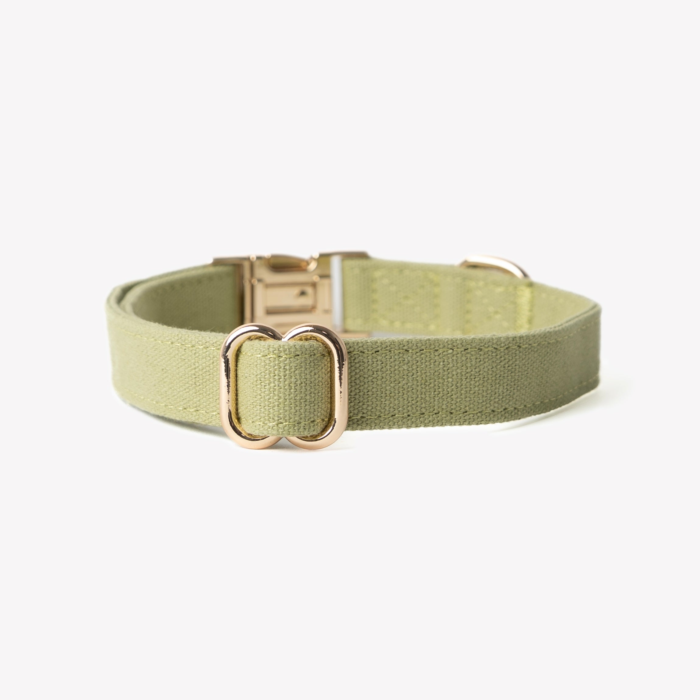 Green - Canvas Dog Collar - HT Animal Supply