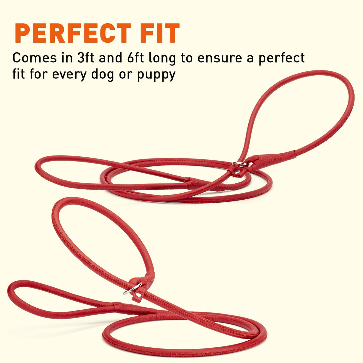Dogline Soft Leather Round Slip Dog Lead for Dogs