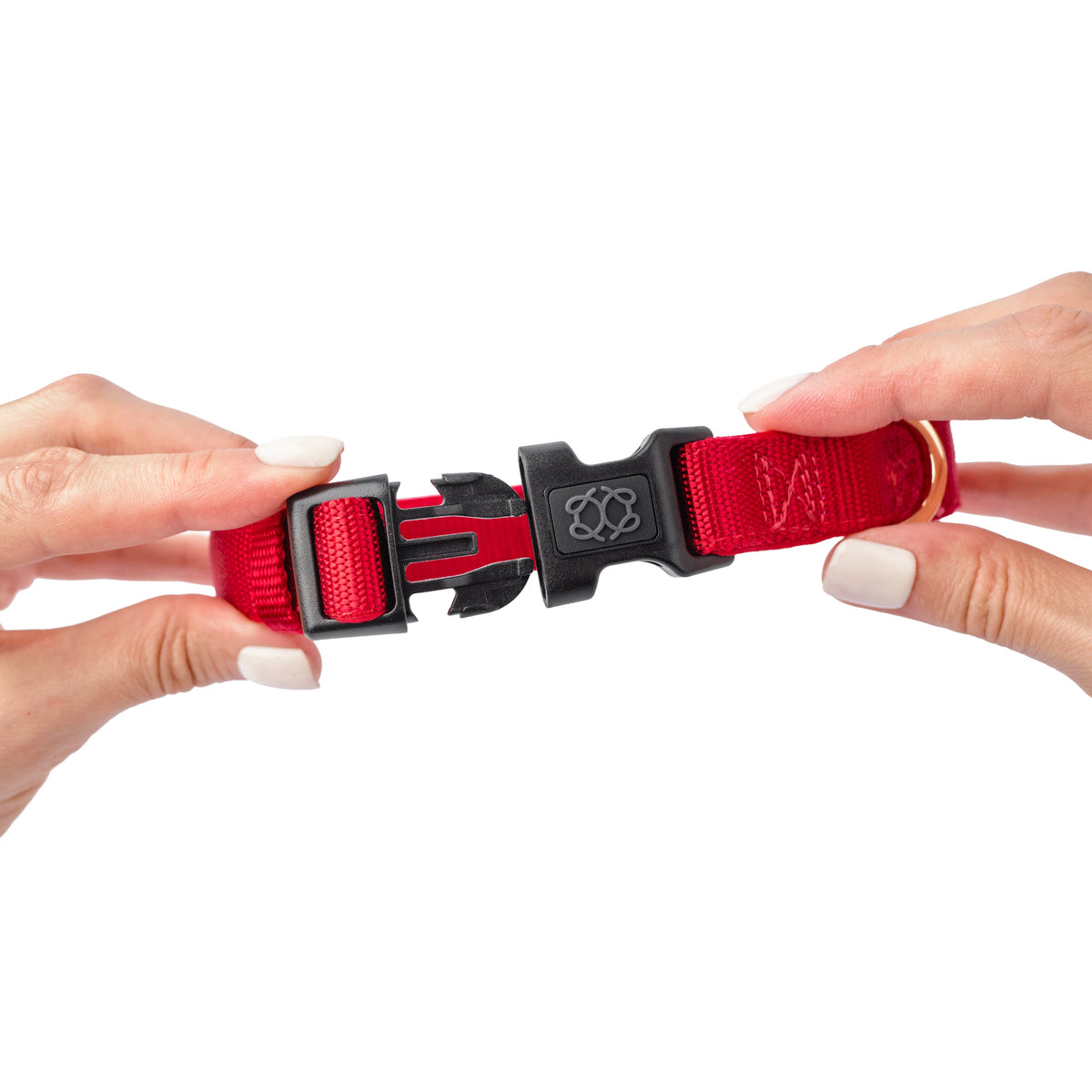 DOGISTRY City Dog Collar - Iconic Red